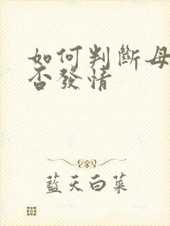 如何判断母猫是否发情