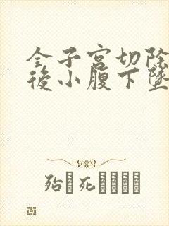 全子宫切除2年后小腹下坠感