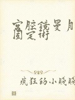 宫腔镜曼月乐环固定术