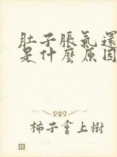 肚子胀气还便秘是什么原因