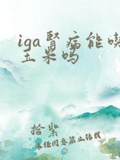 iga肾病能吃玉米吗