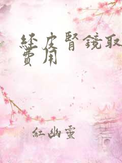 经皮肾镜取石术费用