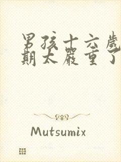 男孩十六岁叛逆期太严重了怎么办