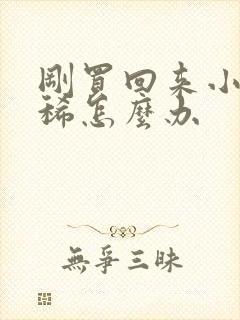 刚买回来小狗拉稀怎么办