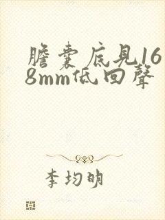 胆囊底见16×8mm低回声