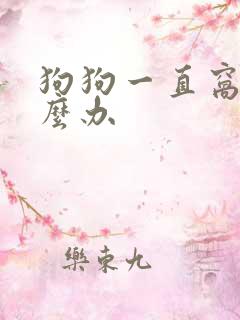 狗狗一直窝咳怎么办