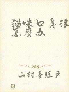 猫咪口臭很严重怎么办