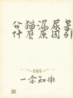 公猫漏尿是因为什么原因引起的