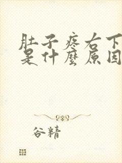 肚子疼右下角疼是什么原因