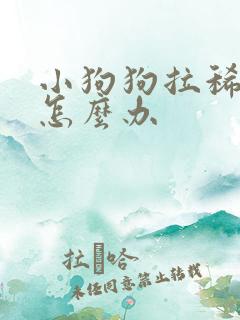 小狗狗拉稀带血怎么办