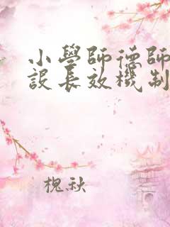 小学师德师风建设长效机制