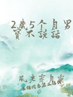 2岁5个月男宝宝不说话