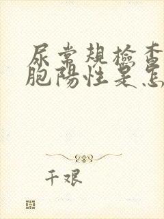 尿常规检查白细胞阳性是怎么回事