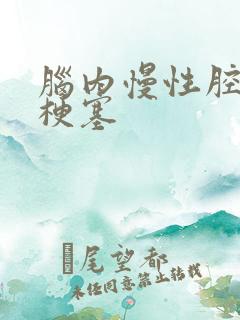 脑内慢性腔隙性梗塞