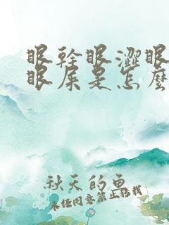 眼干眼涩眼痒有眼屎是怎么回事