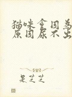 猫咪会因为什么原因尿不出来