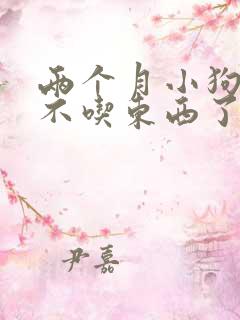 两个月小狗两天不吃东西了怎么办