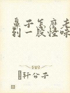 鼻子怎么老是闻到一股怪味