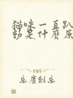 猫咪一直趴着不动是什么原因