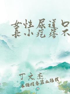 女性尿道口边上长小疙瘩不疼不痒