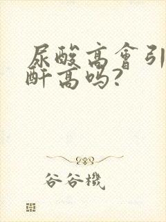 尿酸高会引发肌酐高吗?