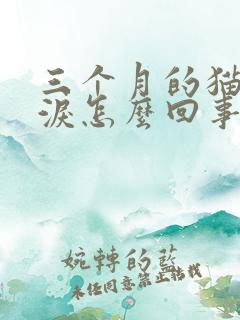 三个月的猫流眼泪怎么回事