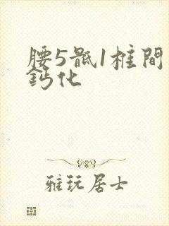 腰5骶1椎间盘钙化