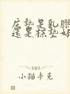 床垫是乳胶垫好还是棕垫好呢