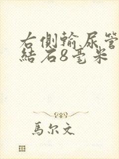 右侧输尿管上段结石8毫米