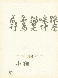 成年猫咪踩奶的行为是什么意思