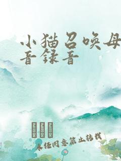 小猫召唤母猫声音录音