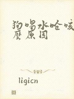 狗喝水呛咳是什么原因