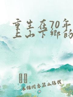 重生在70年代上山下乡的小说