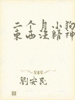 二个月小狗不吃东西没精神怎么办