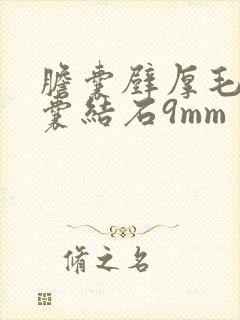 胆囊壁厚毛糙胆囊结石9mm