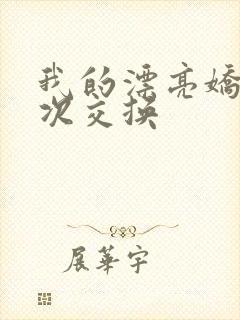 我的漂亮娇妻初次交换