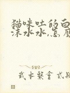 猫咪吐的白色泡沫水水,怎么回事?