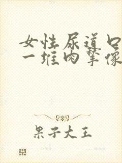 女性尿道口出现一堆肉揪像柚子粒