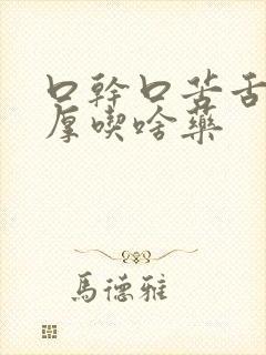 口干口苦舌苔白厚吃啥药