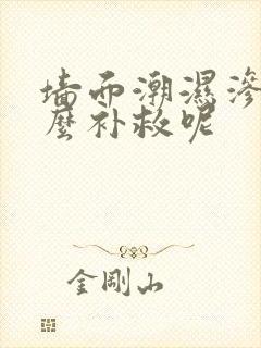 墙面潮湿渗水怎么补救呢