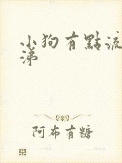 小狗有点流黄鼻涕