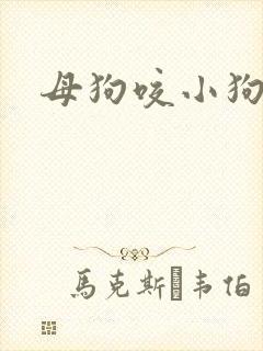 母狗咬小狗脐带