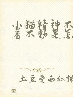 小猫精神不振趴着不动是怎么回事