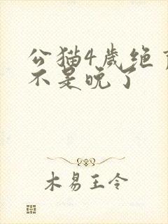 公猫4岁绝育是不是晚了