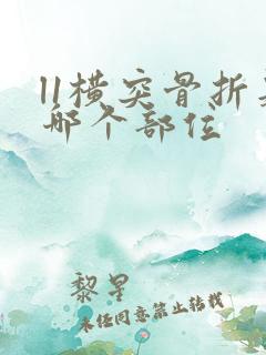 l1横突骨折是哪个部位