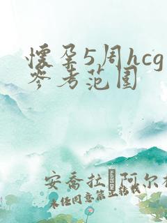 怀孕5周hcg参考范围