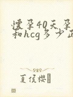 怀孕40天孕酮和hcg多少正常范围
