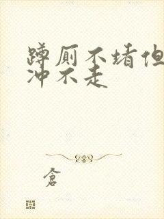 蹲厕不堵但是纸冲不走