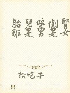 胎儿双侧肾盂分离是男是女