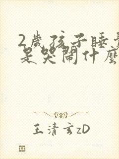 2岁孩子睡觉总是哭闹什么原因